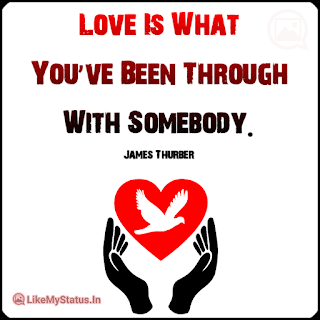 Love Is What You’ve Been Through With Somebody. - James Thurber