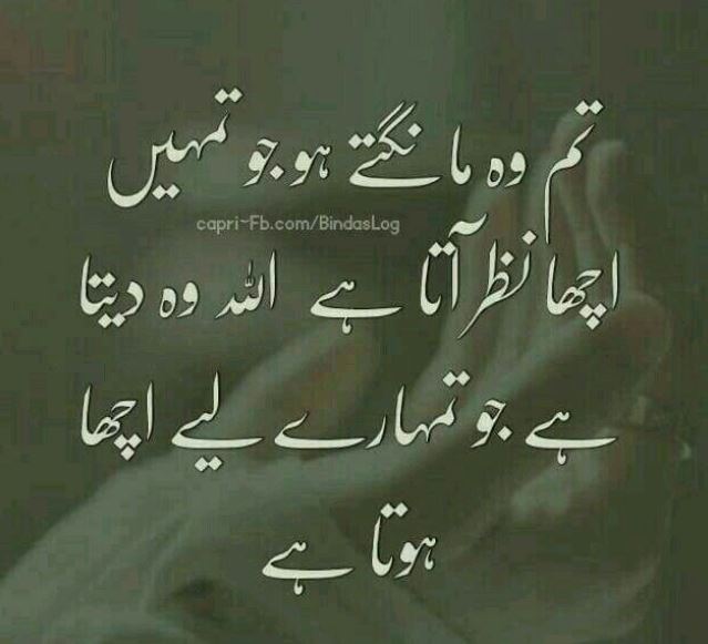 Islamic Quotes In Urdu | 2500+ Best Islamic Quotes In Urdu – Very