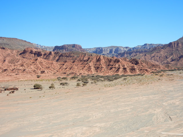 Die Landschaft von Florida ähnelt der Steppe in Afrika