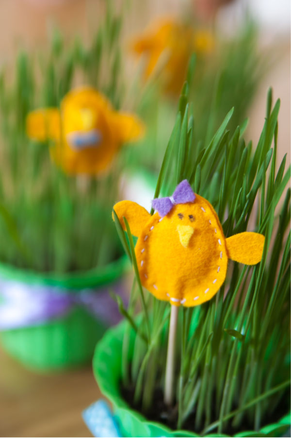 Here is a fun project that the kids will love!  Grow your own Easter basket grass. #easterbasketideas #eastercrafts #growgrassforeasterbasket #easteractivitiesforkids #easterbasketdiy #growingajeweledrose