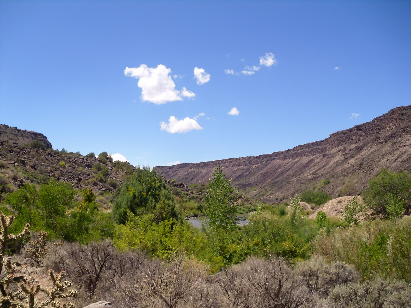 Rachel's Adventures White Water Kayaking at the Taos Box