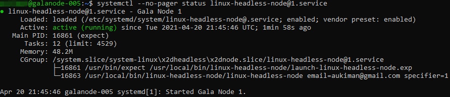 Running a Gala Soft Node Headless on the ROCK Pi X | Auki Henry Official