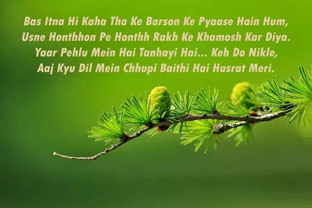 sad love shayari in hindi for girlfriend with image hd sad love shayari in hindi for girlfriend with image hd