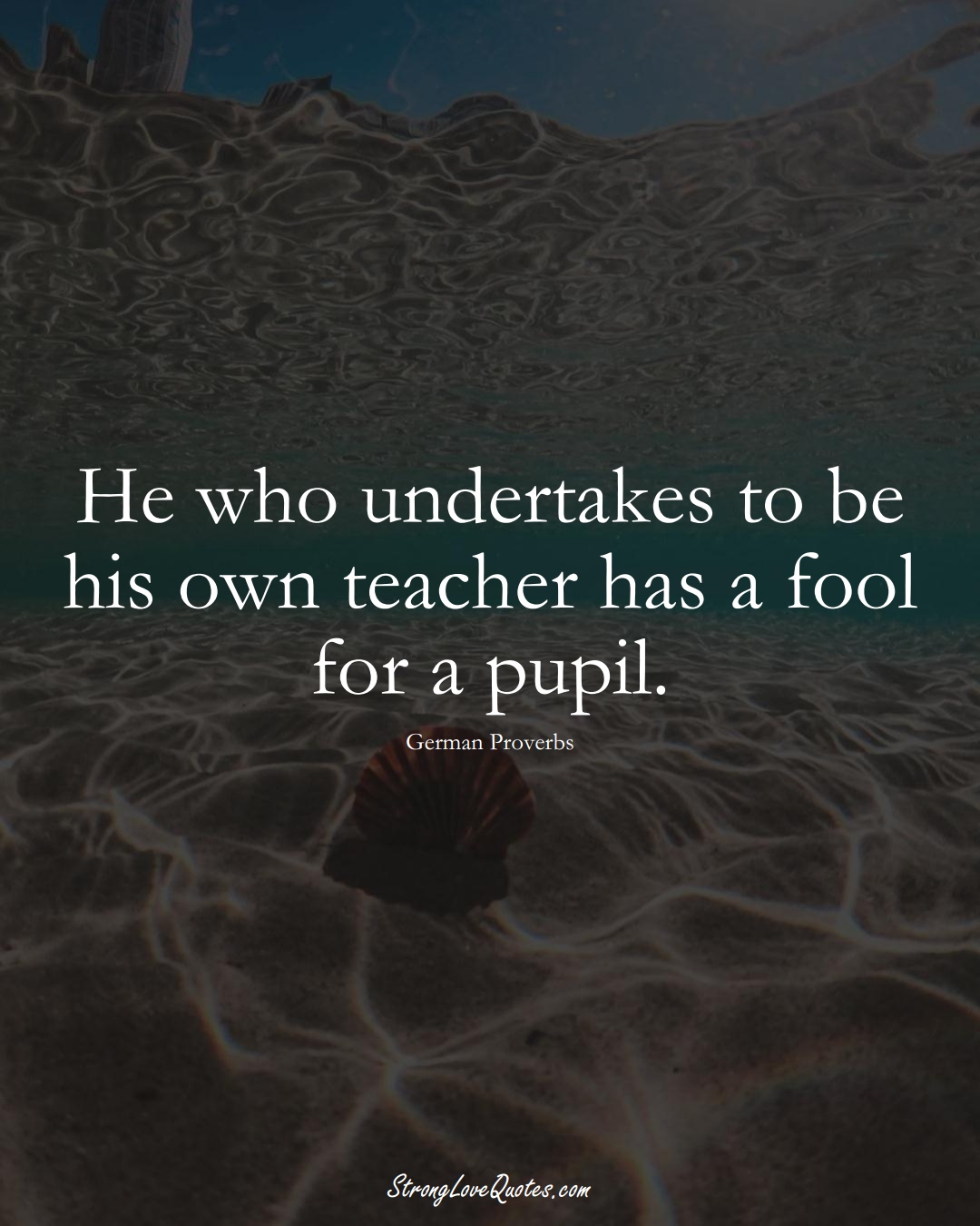 He who undertakes to be his own teacher has a fool for a pupil. (German Sayings);  #EuropeanSayings