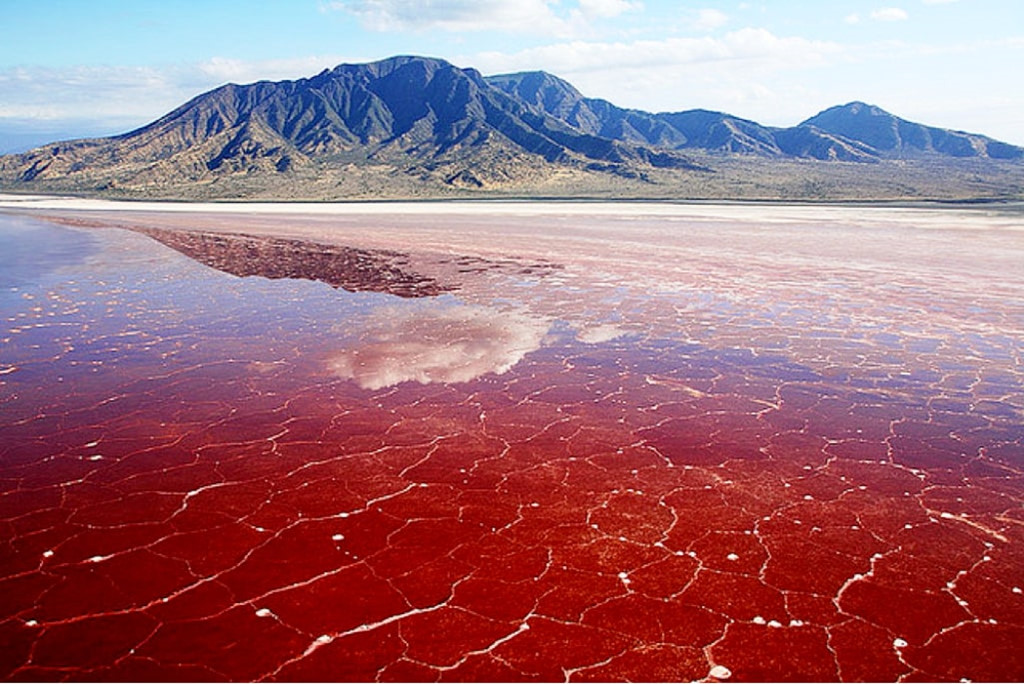Why is lake natron tanzania red ucdad