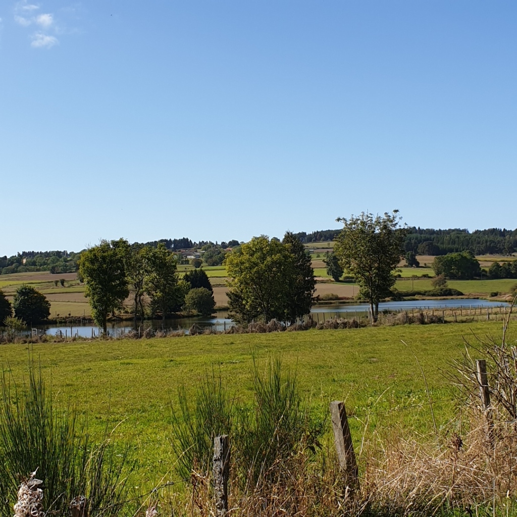 RANDO SENOUIRE Bellevue La Montagne