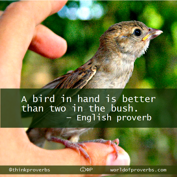 World of Proverbs A bird in hand is better than two in the bush
