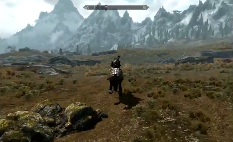 Skyrim open field The Elder Scrolls Skyrim open world field empty space screenshot