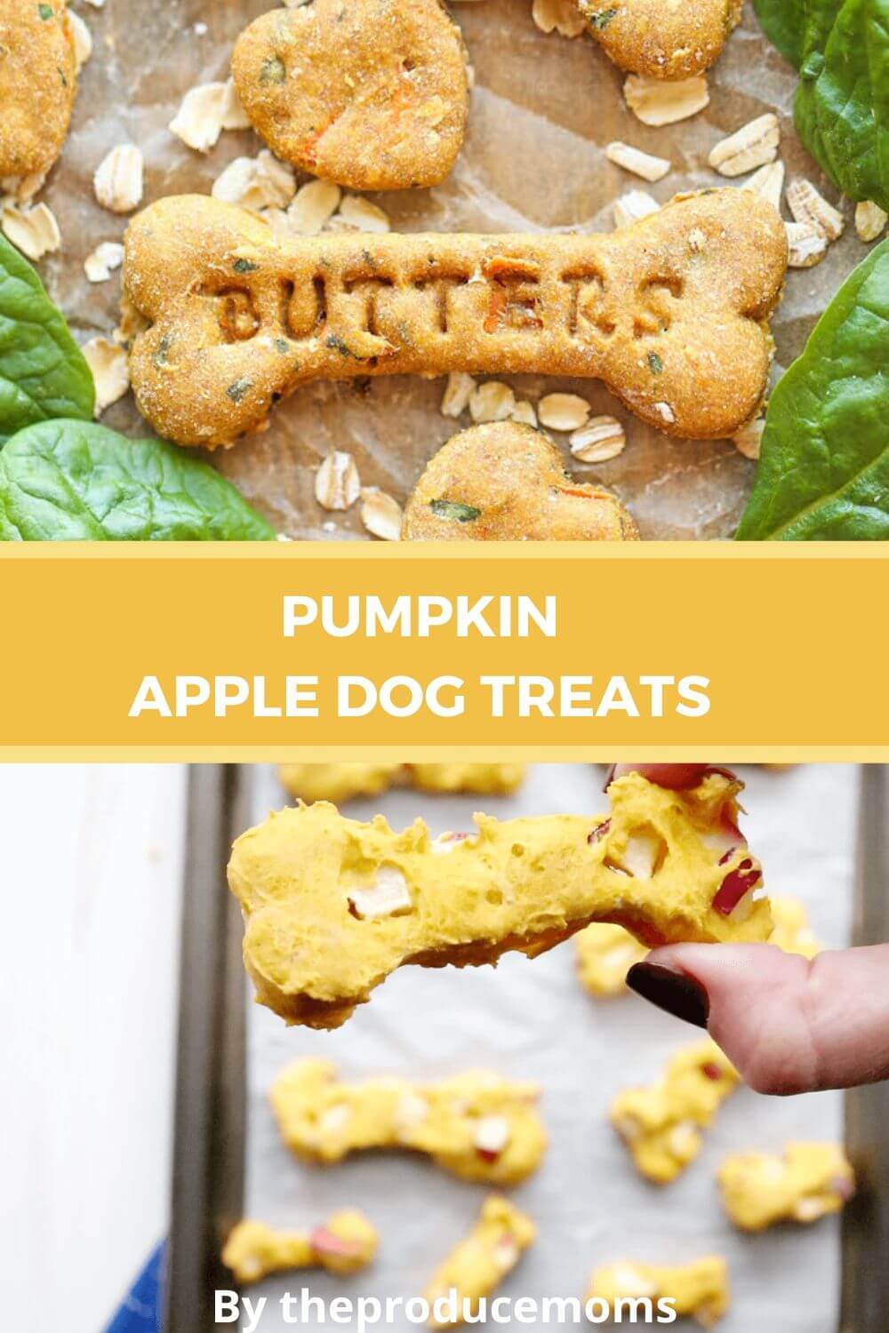 Top 10 Homemade Dog Treats Recipes