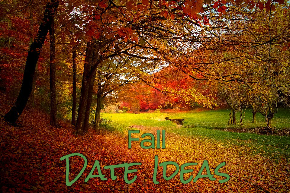 Fall Date Ideas // St Pete and Tampa