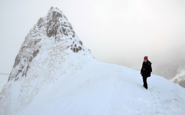 Sancy Masivul Central Francez