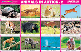Animals in Action Chart
