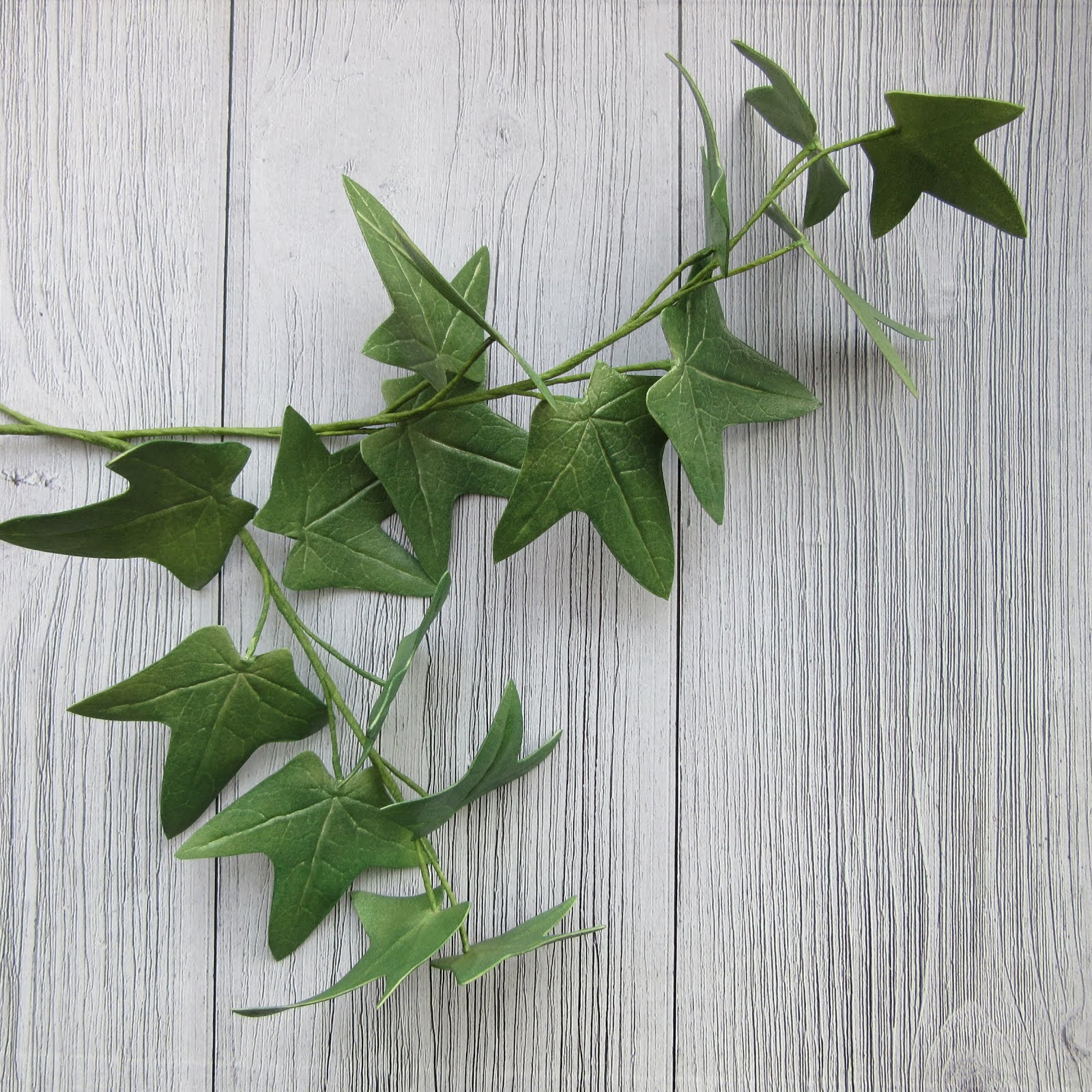 стивен кинг плющ. флюстоп плющ. флюстоп плющ. колючий плющ. флюстоп плющ.