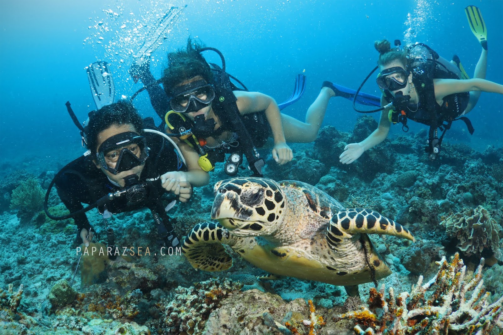 scuba diving trips in philippines