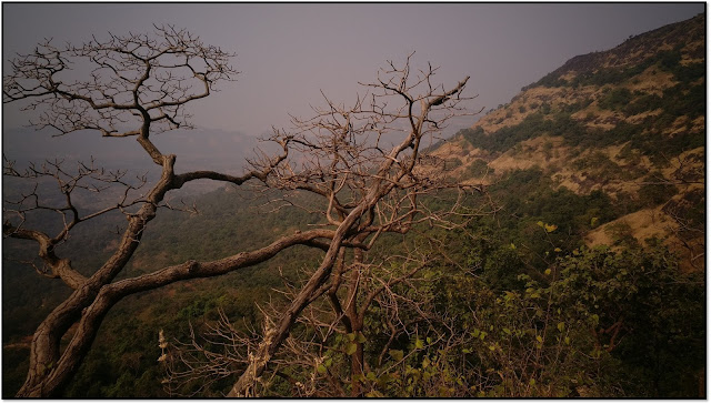 rajmachi trek and camping