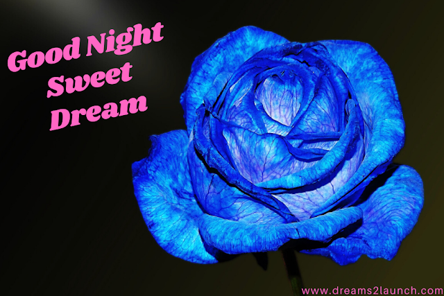 good night sweet dreams images good night sweet dreams images
