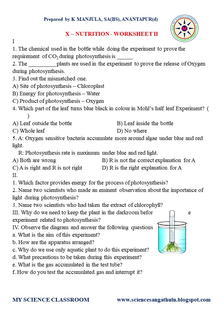 MY SCIENCE CLASSROOM: WORKSHEETS 2