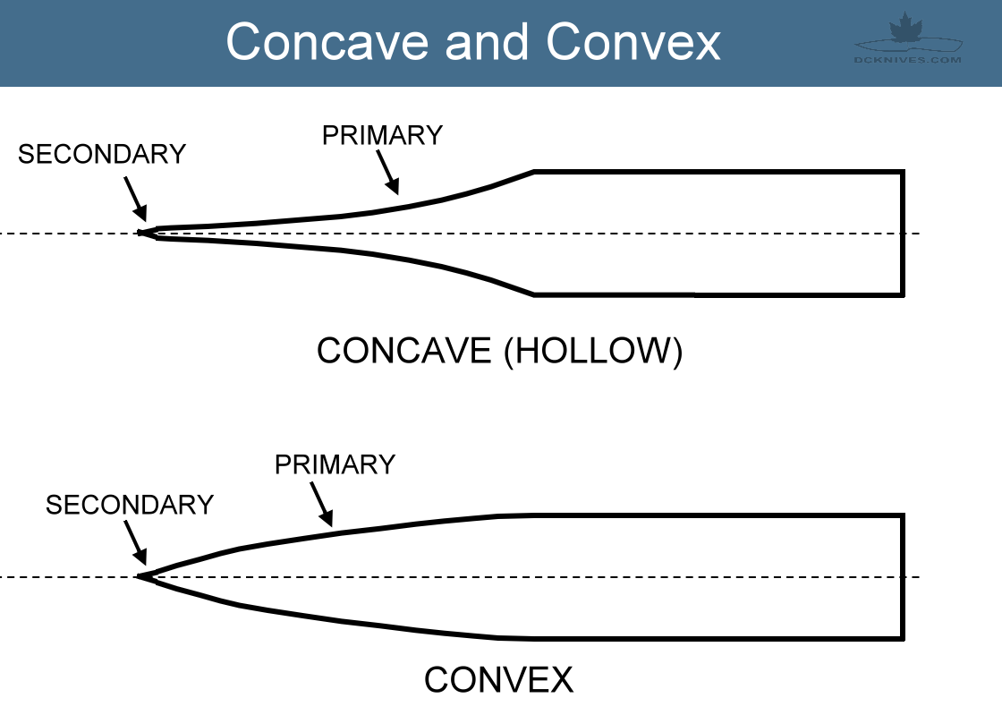 Hollow grind vs convex ground blades