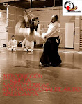 Manual de Aikido