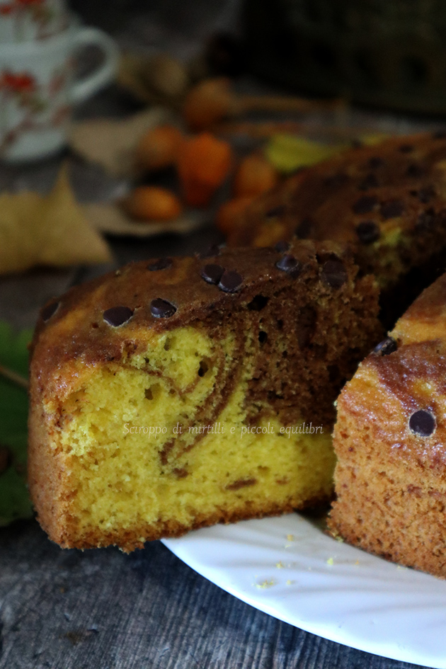 Torta di zucca, cacao e gocce di cioccolato