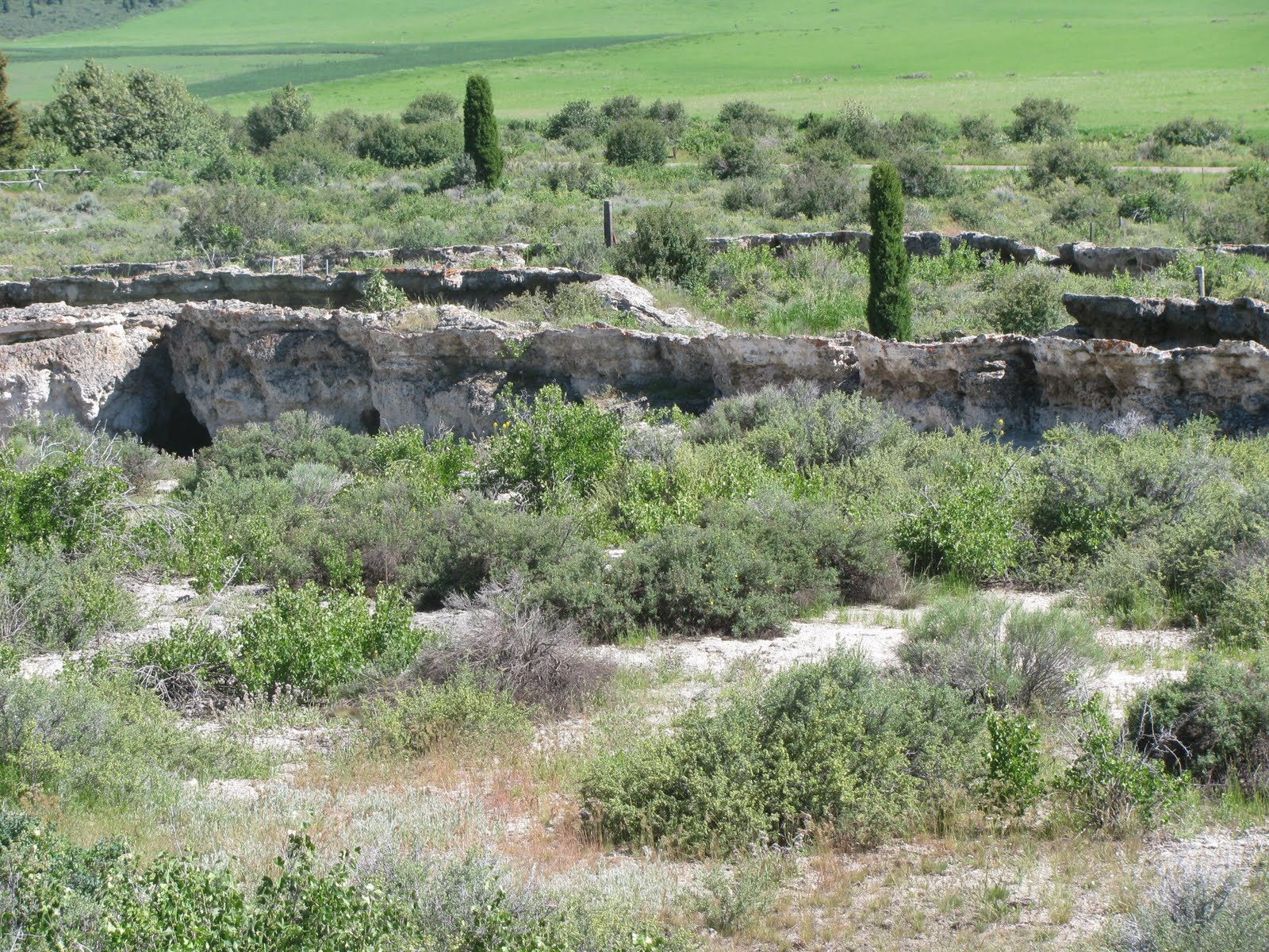 Backyard Excursions: Formation Springs and Cave