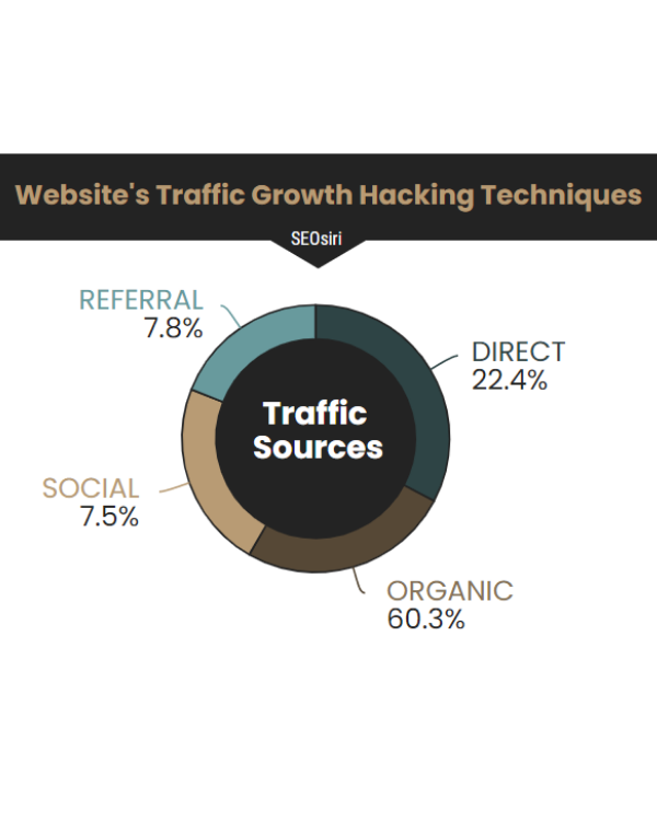 Website Traffic Growth Status