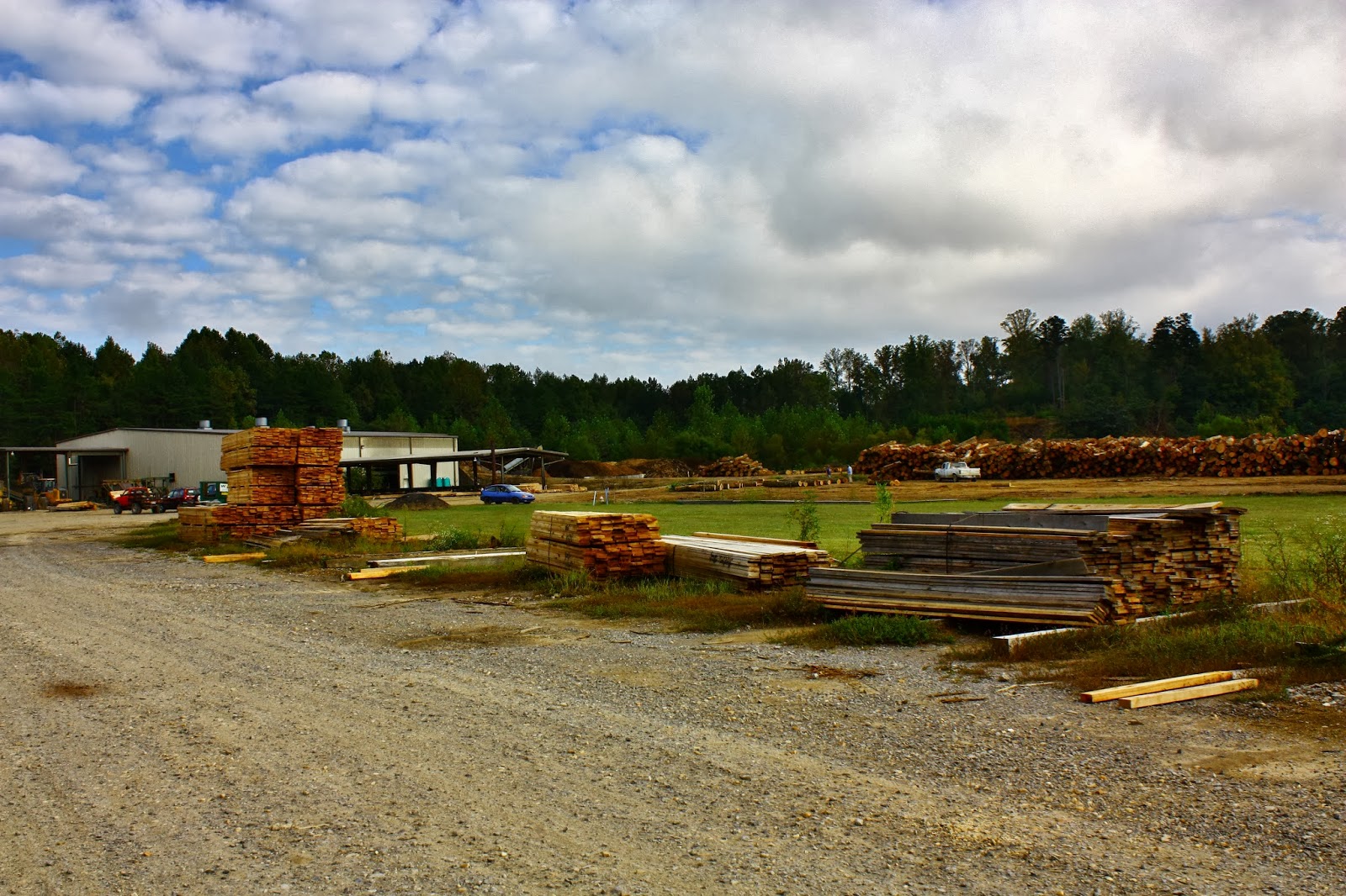 The Green Oak Initiative Oak Ridge Hardwoods