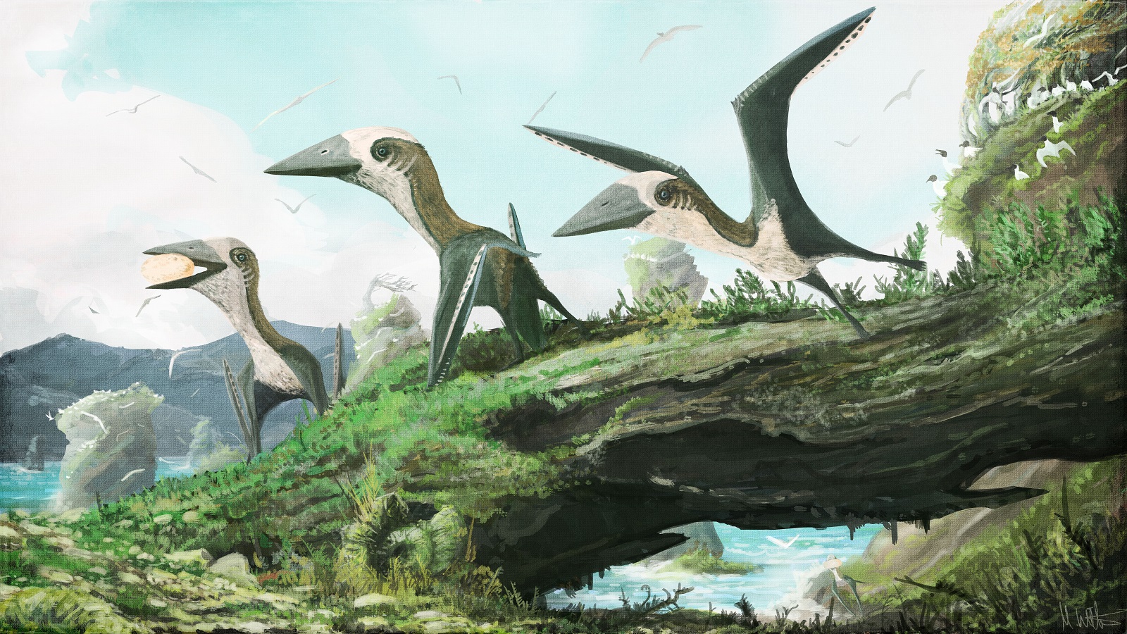 Flock of Hatzegopteryx #latecretaceous #mesozoic #pterosauria # pterodactyloidea #azhdarchidae #hatzegopteryx #romania by:Chase Stone