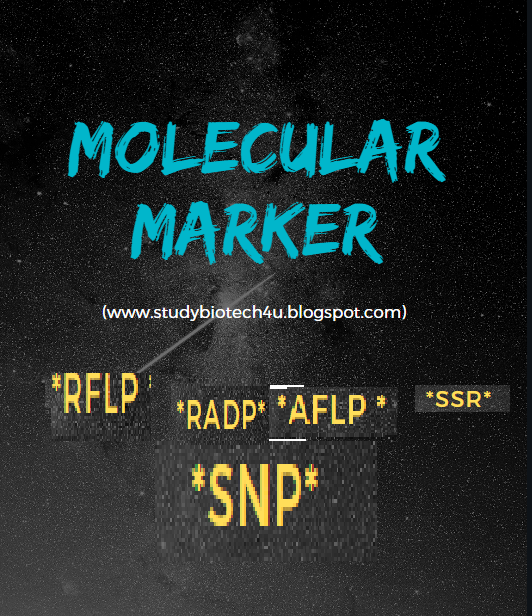 Molecular Markers and its Applications Online Biotech Notes Online Biotech Notes