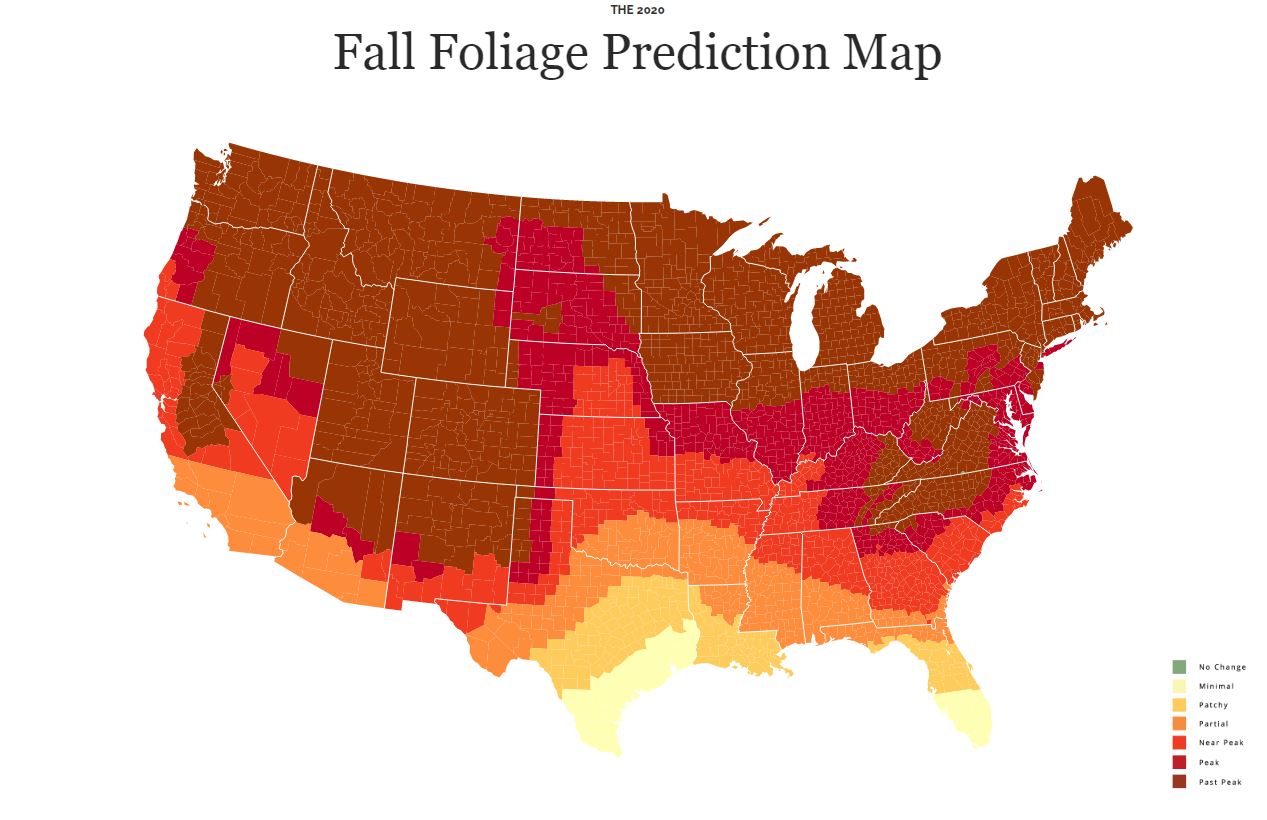Bogota Blog NJ Weather