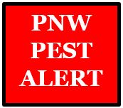 PNW Pest Alert Network
