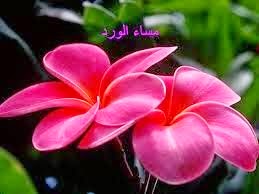 مختارات جميلة لصور مسائية جديدة