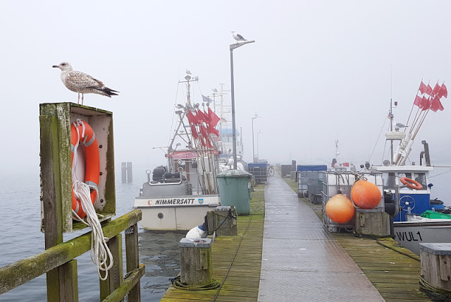 5 spannende Familien-Ausflüge auf Fehmarn im Winter. Fisch vom Kutter könnt Ihr im Hafen von Burgstaaken kaufen.