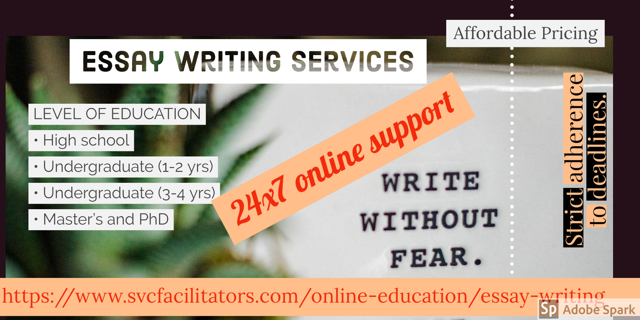 Essay writing services in hyderabad Essay writing services in hyderabad