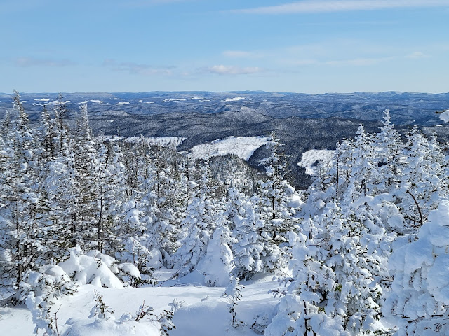 Vue à partir du Pic Dubuc