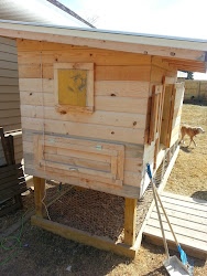 chicken coop classy iowa eastern tour nesting leads horizontal door