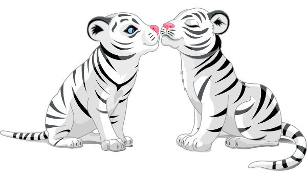 Kissing Tigers