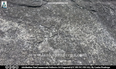 Naigala rock inscriptions