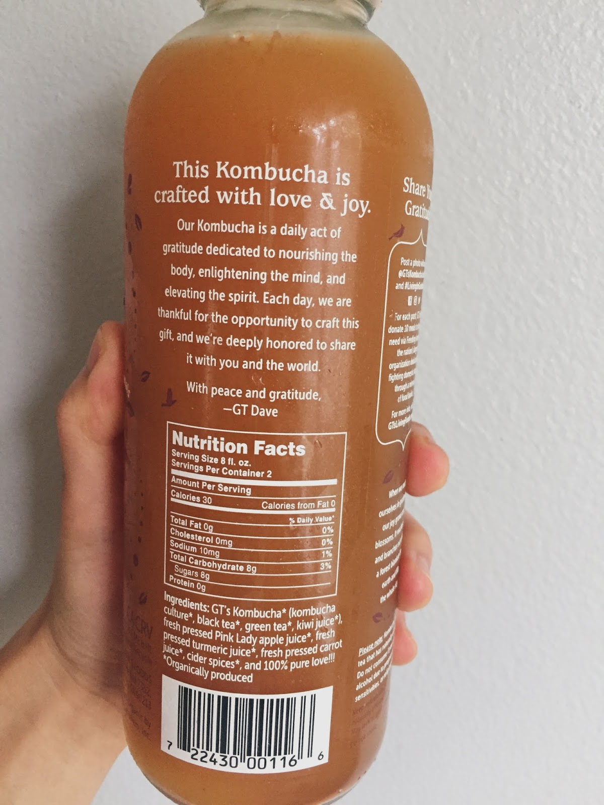 GTS Kombucha Living in Gratitude Fall Edition with Apple, Turmeric