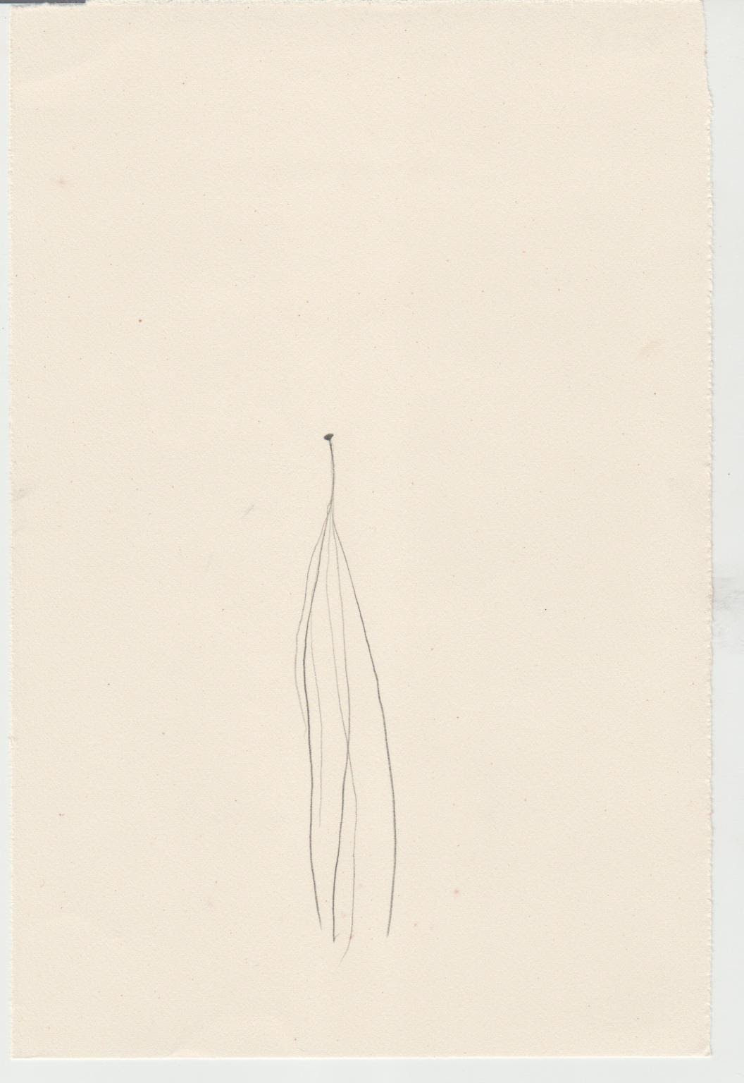 Dibujo 9506 Serie Ombligos Iyalocha 1995