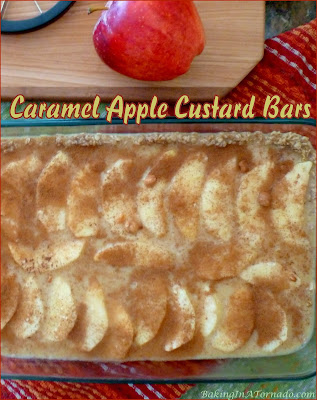 Caramel Apple Custard Bars feature and oat crust and a custard center with apples and caramel. The flavors of Fall in a dessert bar. | Recipe developed by www.BakingInATornado.com | #recipe #bake