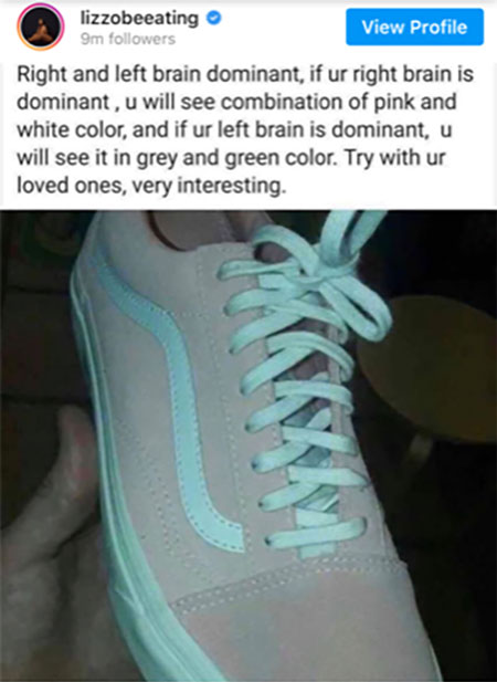 What colors do you see in this sneaker image optical illusion? (Source: Twitter feed)