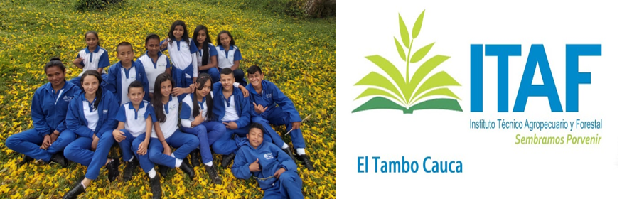 Instituto Técnico Agropecuario y Forestal SCC El Tambo