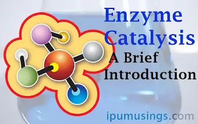 Enzyme Catalysis -A Brief Introduction (#ipumusings)(#biochemistry)(#enzymcatalysis)