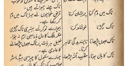 Choke Hold Meaning In Urdu, دم رک جانا رکھنا