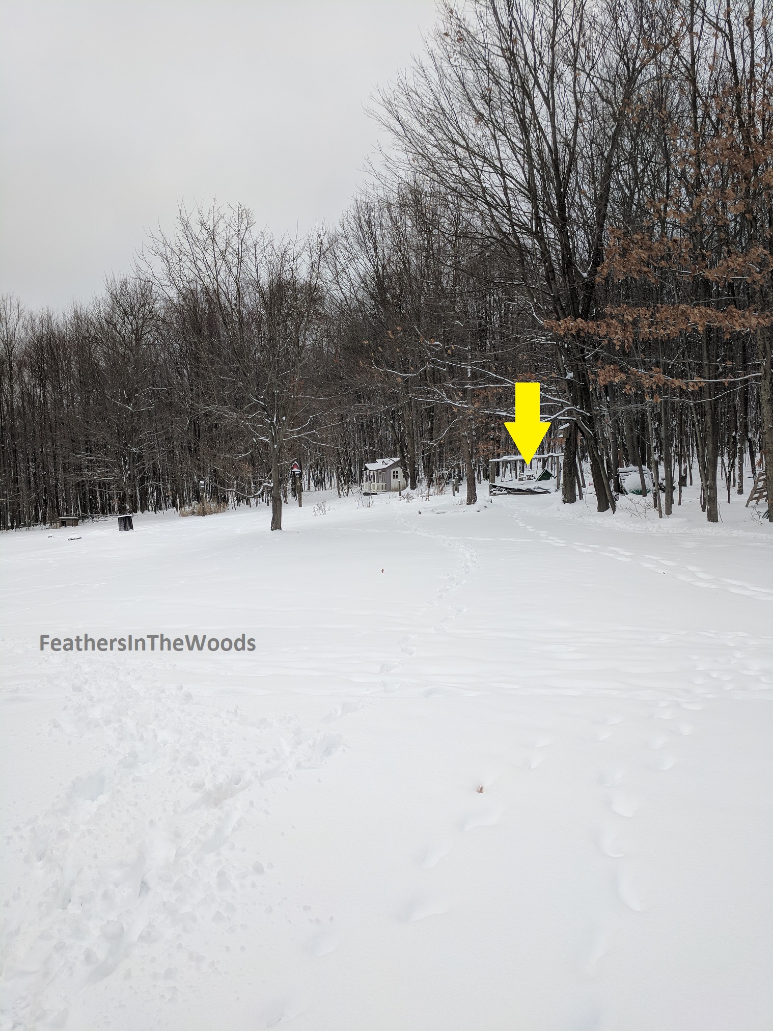 Make a winter compost bin Feathers in the woods