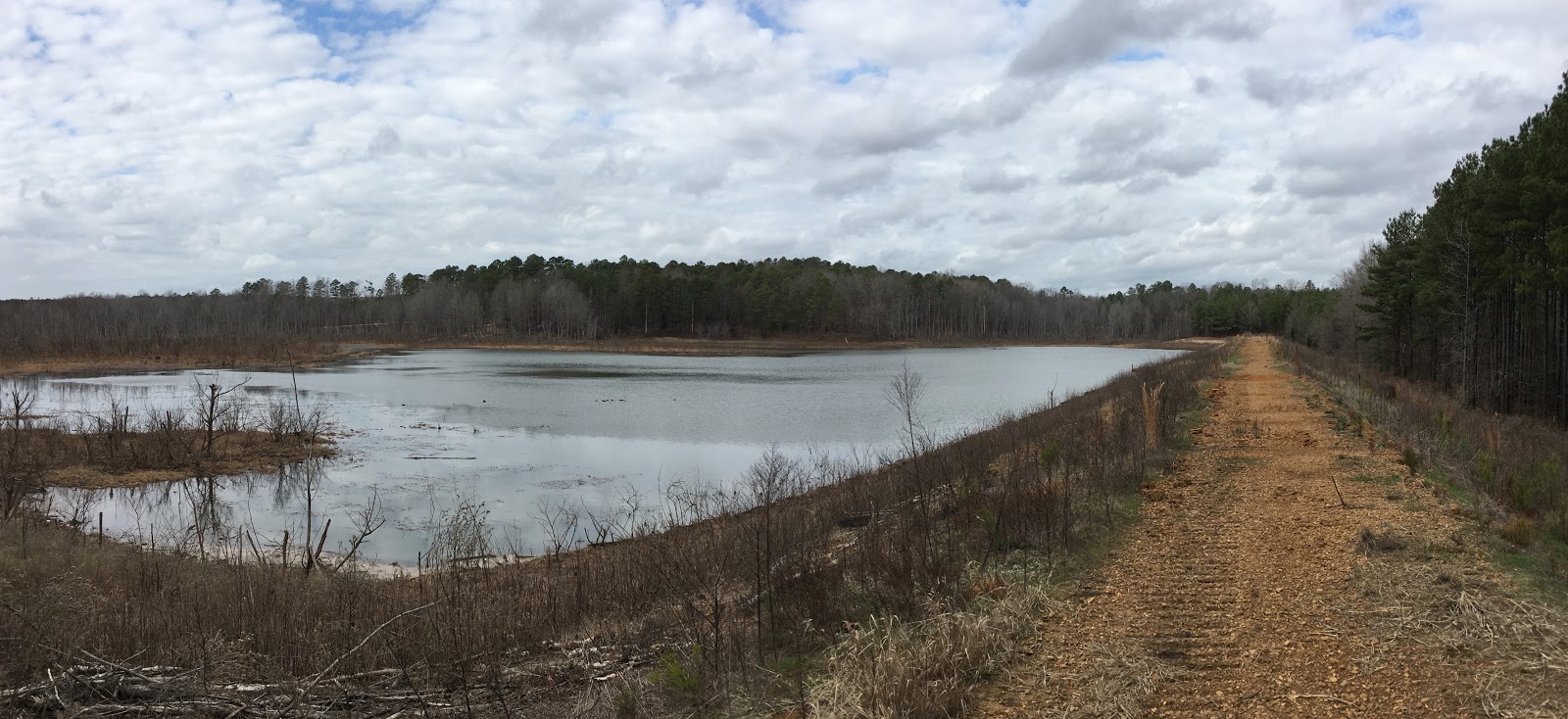North Cypress Trail in Holly Springs National Forest