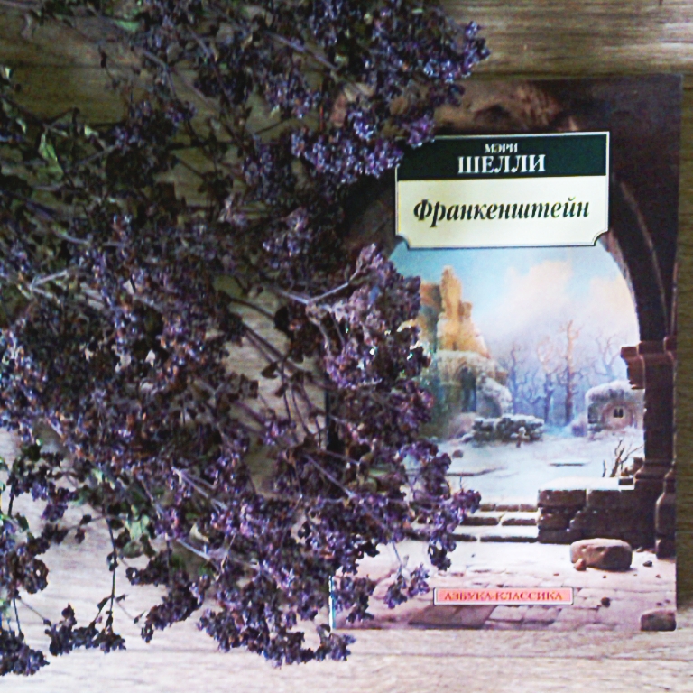 My little wonderland LM: Мэри Шелли "Франкенштейн"