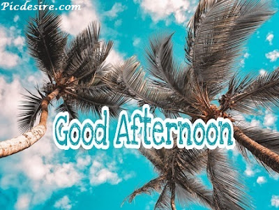 Best 50 Good Afternoon Images 2020 || Good Afternoon Images for Whatsapp Best 50 Good Afternoon Images 2020 || Good Afternoon Images for Whatsapp