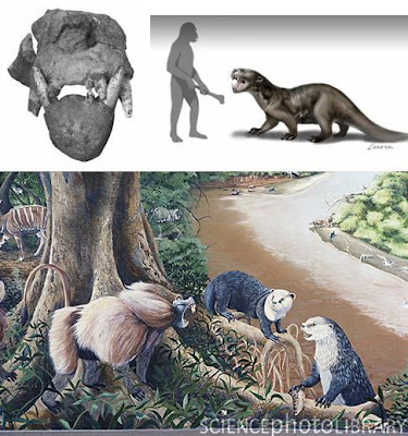 nutria gigante prehistorica Enhydriodon